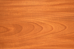 wood_bg